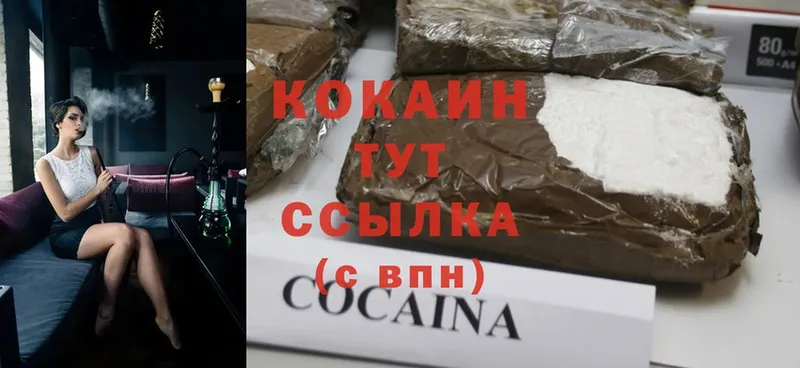 что такое   Козловка  Cocaine Fish Scale 