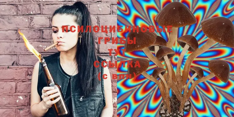 Псилоцибиновые грибы Psilocybe  Козловка 